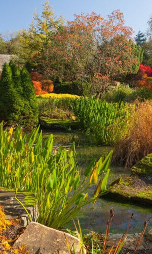 RHS Garden Harlow Carr: Entry Ticket