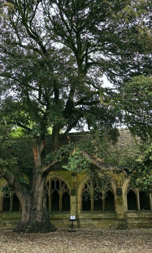 Oxford Harry Potter Film Locations Walking Tour