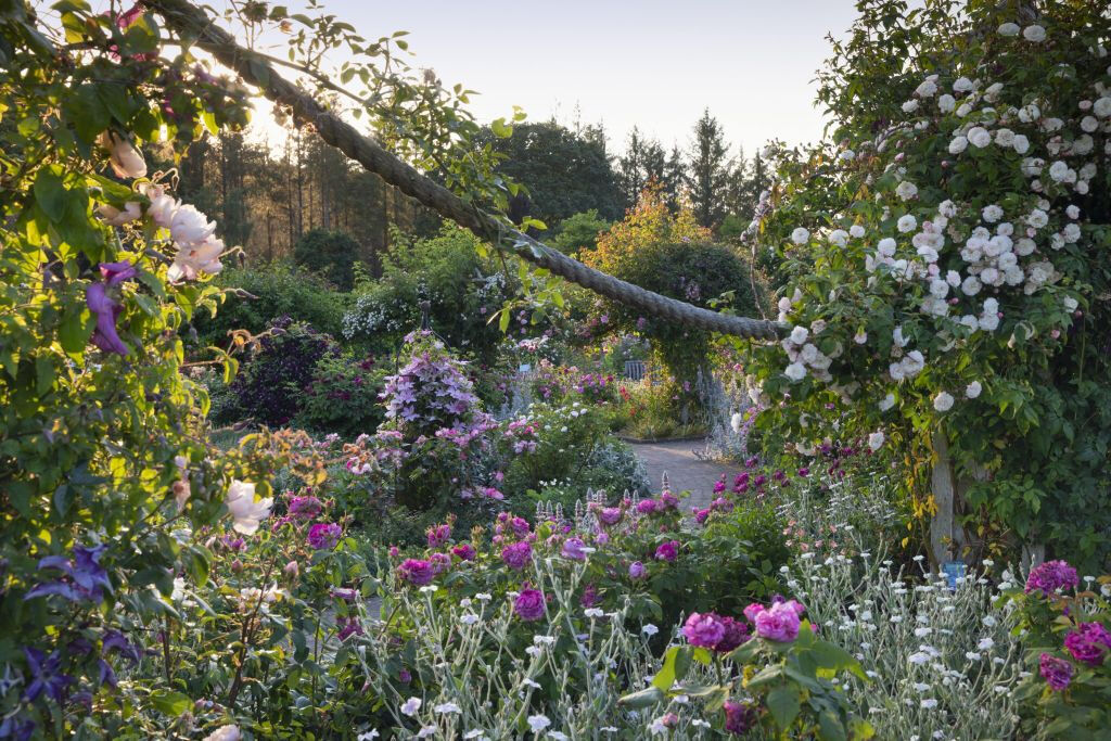 RHS Garden Rosemoor: Entry Ticket