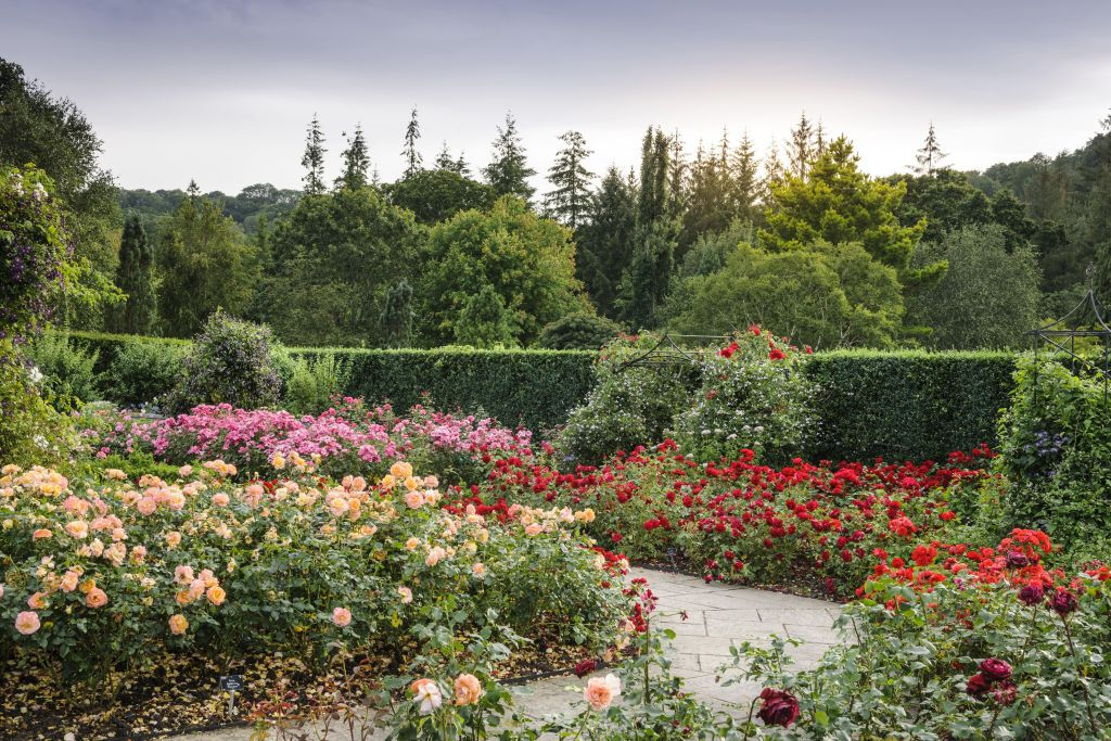 RHS Garden Rosemoor: Entry Ticket