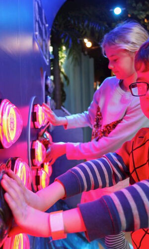 SEA LIFE Scarborough: Entry Ticket