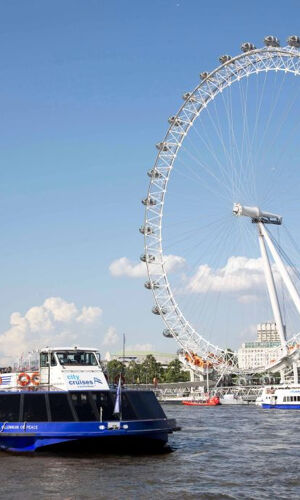 London: Afternoon Tea Cruise