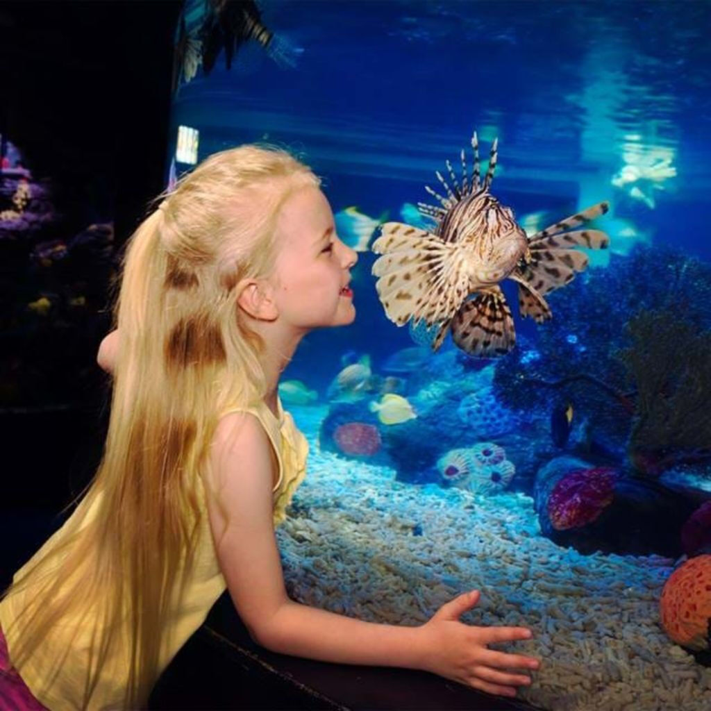 SEA LIFE Manchester: Bilhete de entrada