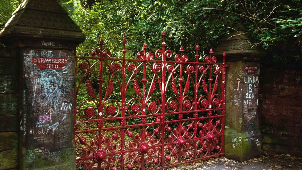 Strawberry Field: Entry Ticket