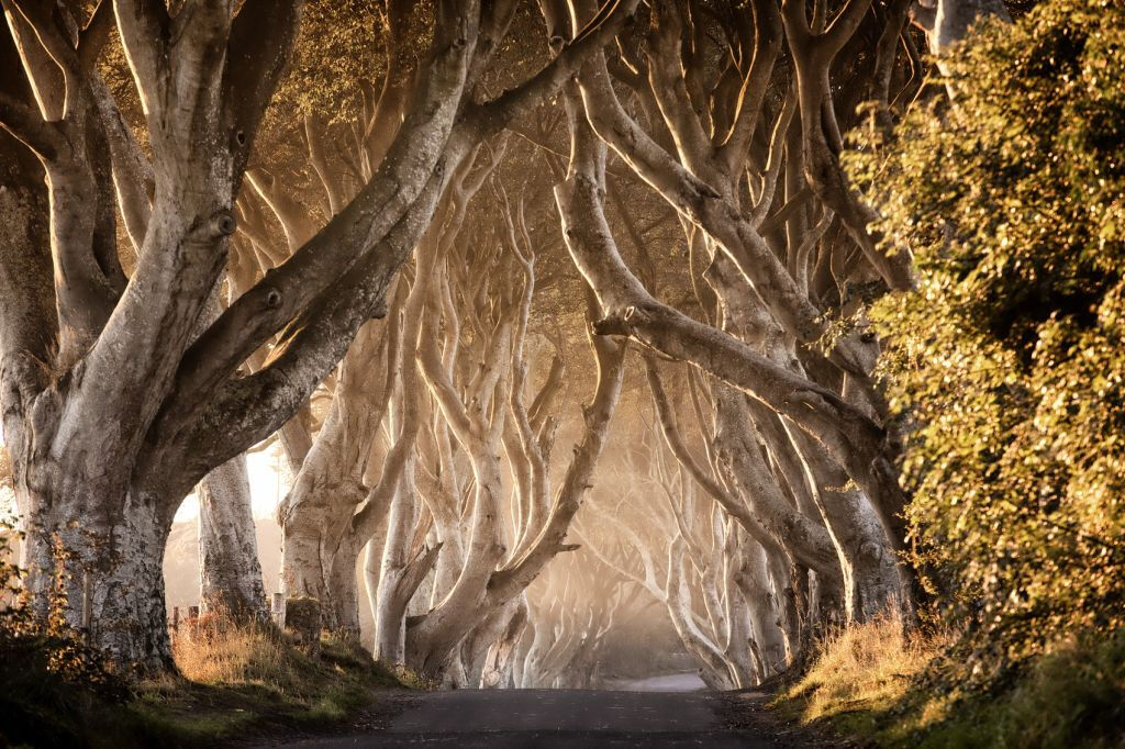 Giant’s Causeway Tour + Game of Thrones Filming Locations Tour from Belfast