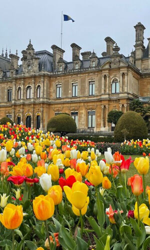 Grounds at Waddesdon Manor