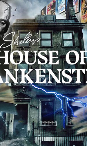 Mary Shelley's House of Frankenstein: Entry Ticket