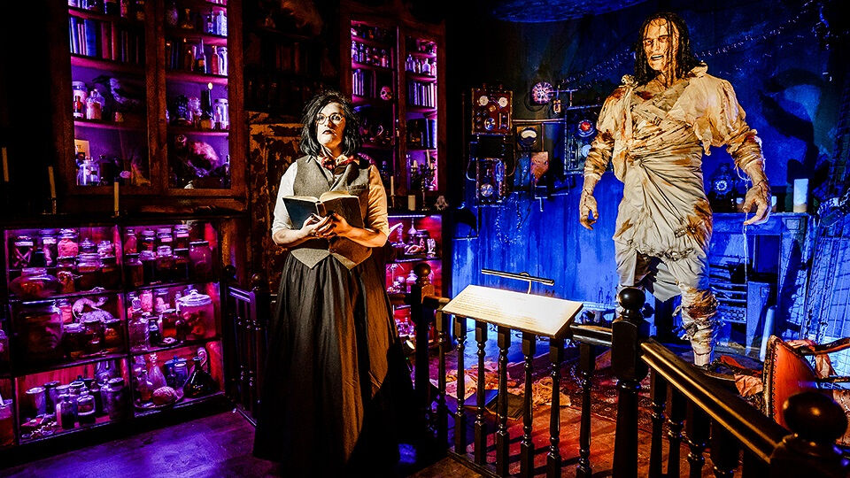 La casa de Frankenstein de Mary Shelley: Entrada