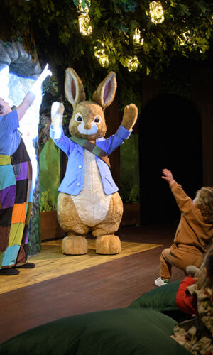 Peter Rabbit Explore & Play