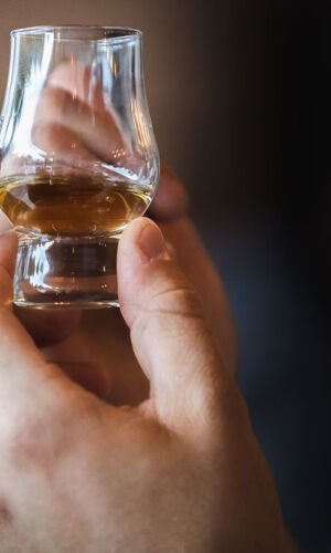Moray Coast, Puffins and Speyside Whisky Explorer Tour from Inverness