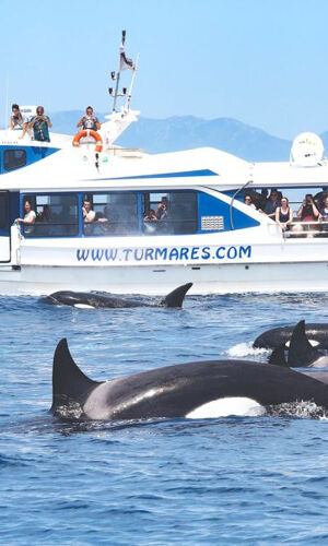 Traslados al Parque Nacional de las Islas Atlánticas de Galicia desde Portonovo