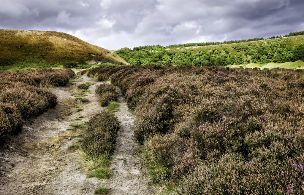 Whitby e The North York Moors: Gita in Giornata da York