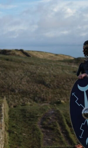 Hadrian's Wall: Half Day Tour From Newcastle