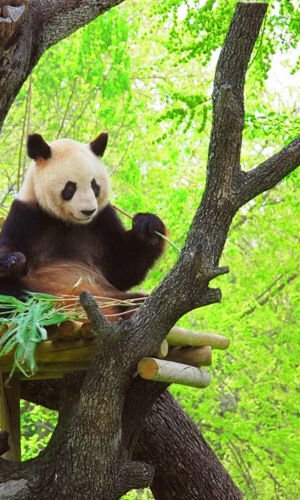 Zoo Aquarium Madrid