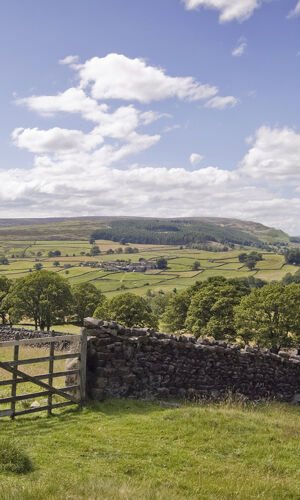 Yorkshire Dales: Day Trip from York