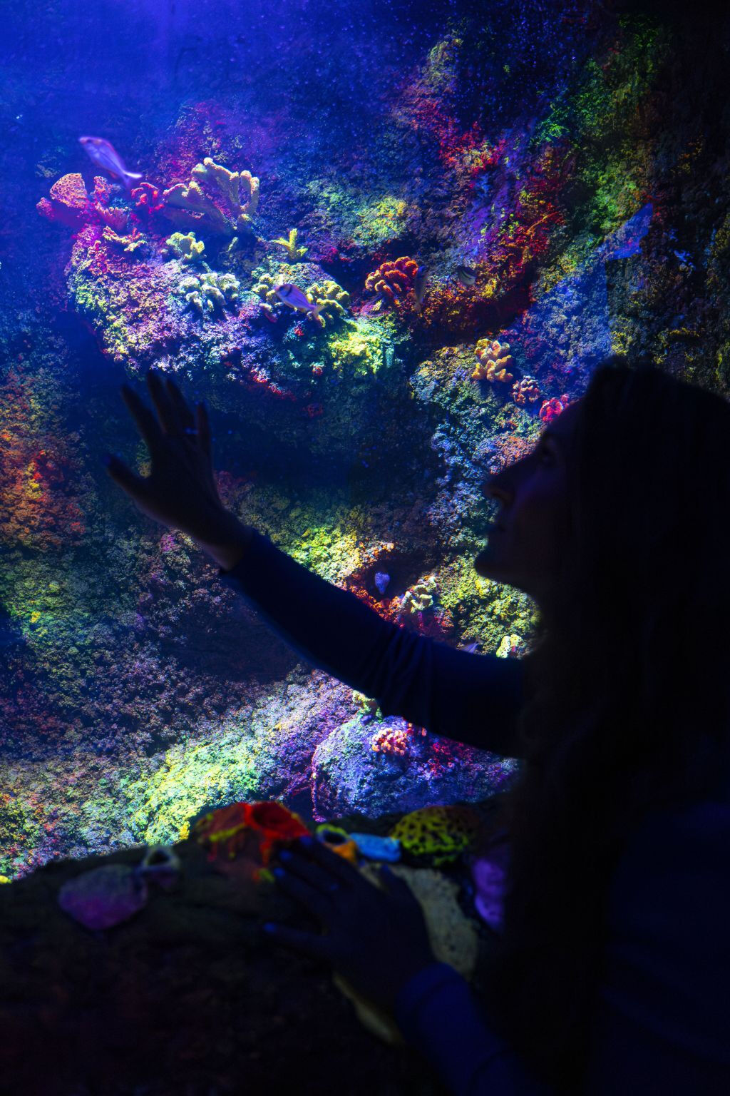 Sea Life Benalmádena 