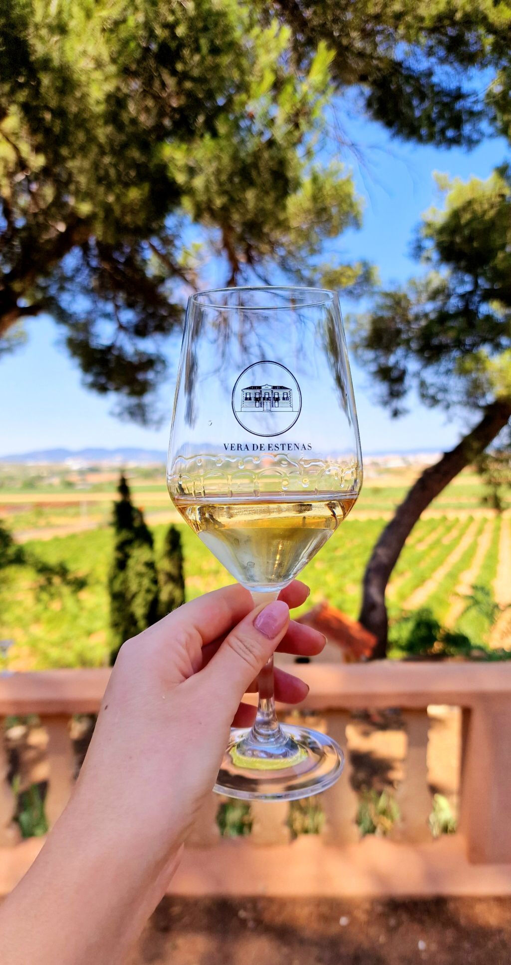 Ruta del Vino Utiel-Requena desde Valencia