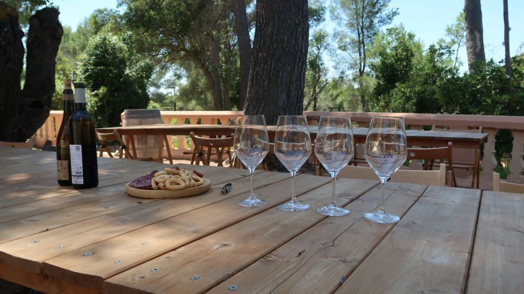 Ruta del Vino Utiel-Requena desde Valencia