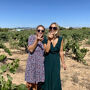 Ruta del Vino Utiel-Requena desde Valencia