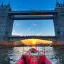 Thames Rockets: Speedboat Experience by Night