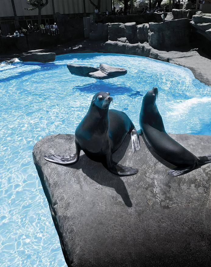 Zoo de Barcelona
