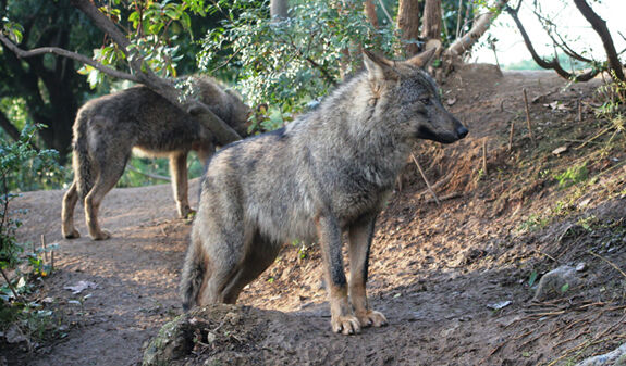 Zoo de Barcelona