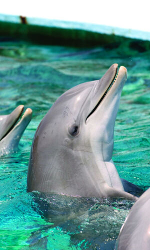 Zoo de Barcelona