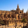 Visite de la cathédrale de Sevilla et de l'église du Salvador