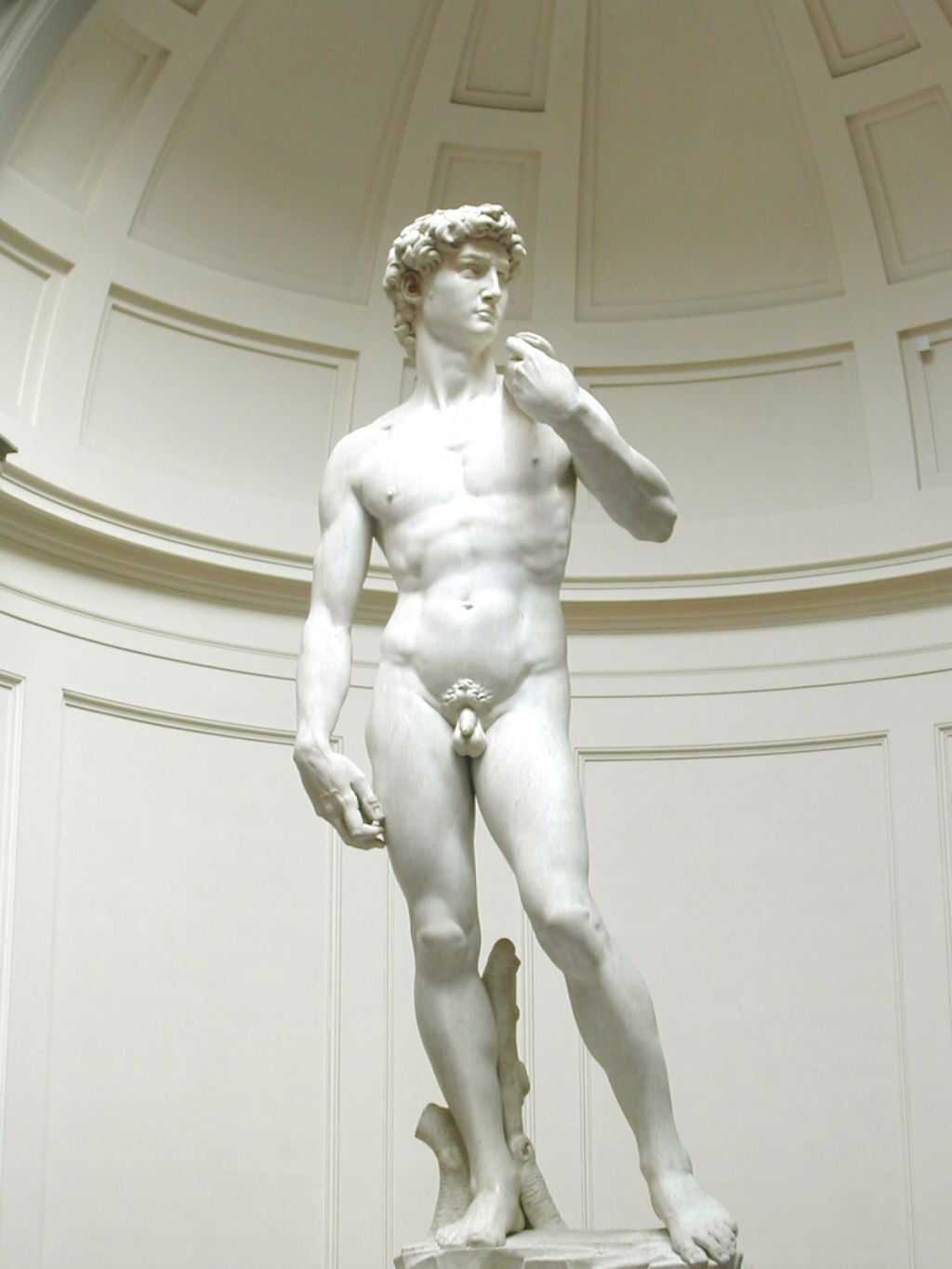 Galleria dell'Accademia: Biglietto d'ingresso prioritario