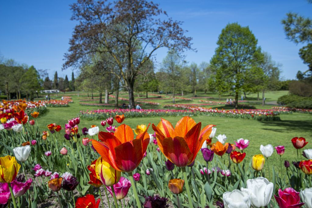 Parco Giardino Sigurtà: Skip The Line Ticket
