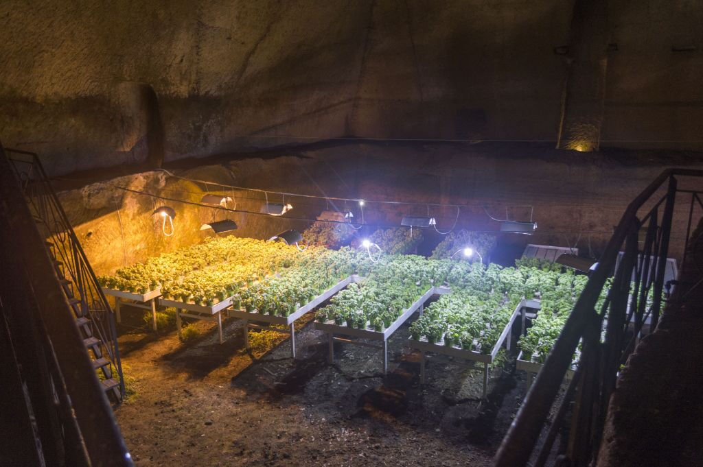 Naples Underground: Skip The Line Ticket + Guided Tour