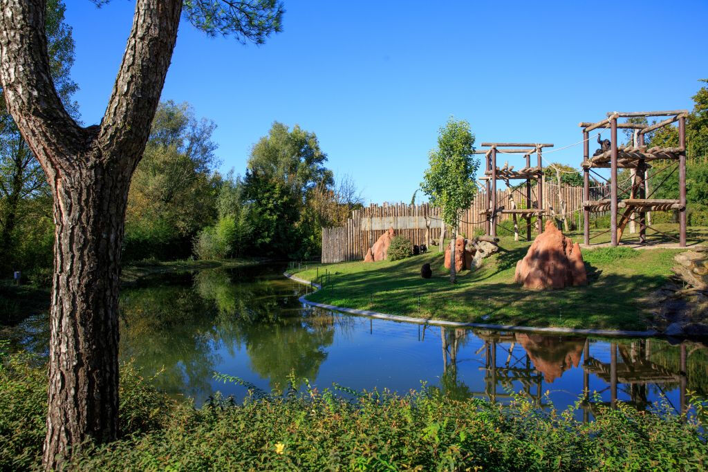 Parco Natura Viva: Biglietto saltafila