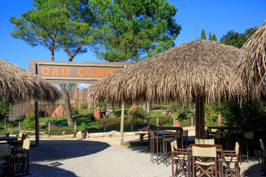 Parco Natura Viva: Biglietto saltafila
