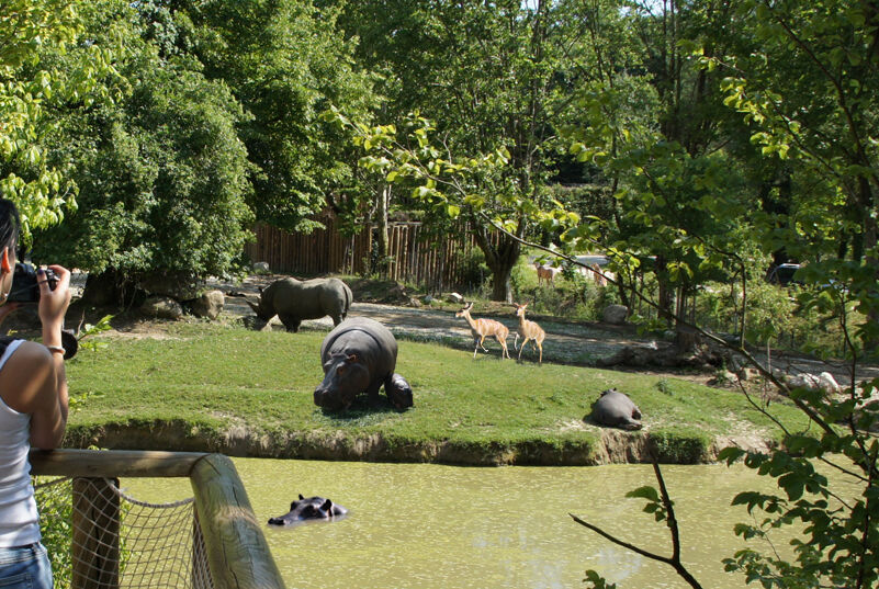 Parco Natura Viva: Biglietto saltafila