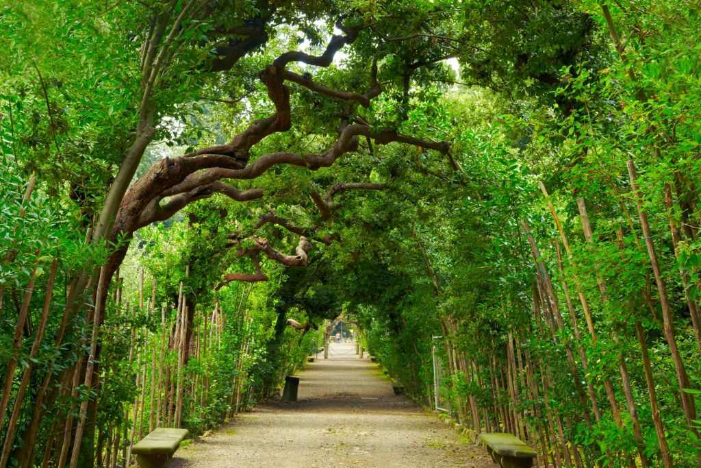 Palazzo Pitti, Boboli & Bardini Gardens: Pular a linha