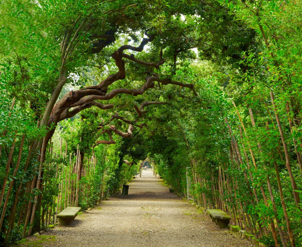Jardins de Boboli: Bilhete sem filas