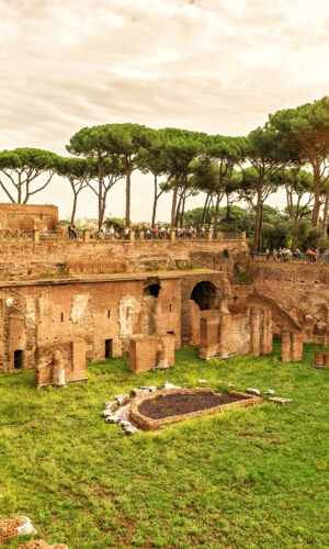 Colosseo, Foro Romano, Palatino, Carcere Mamertino: Biglietto d'ingresso