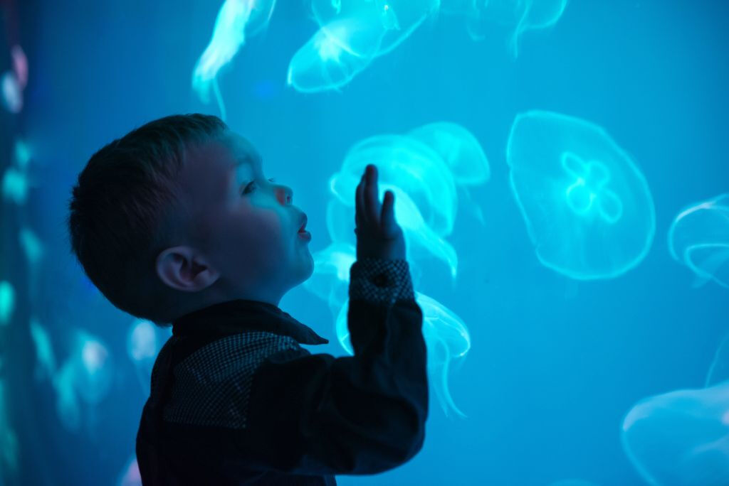 Acuario de Sevilla