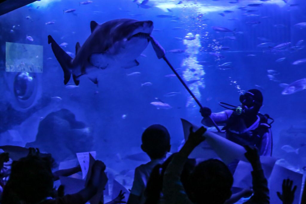 Acuario de Sevilla