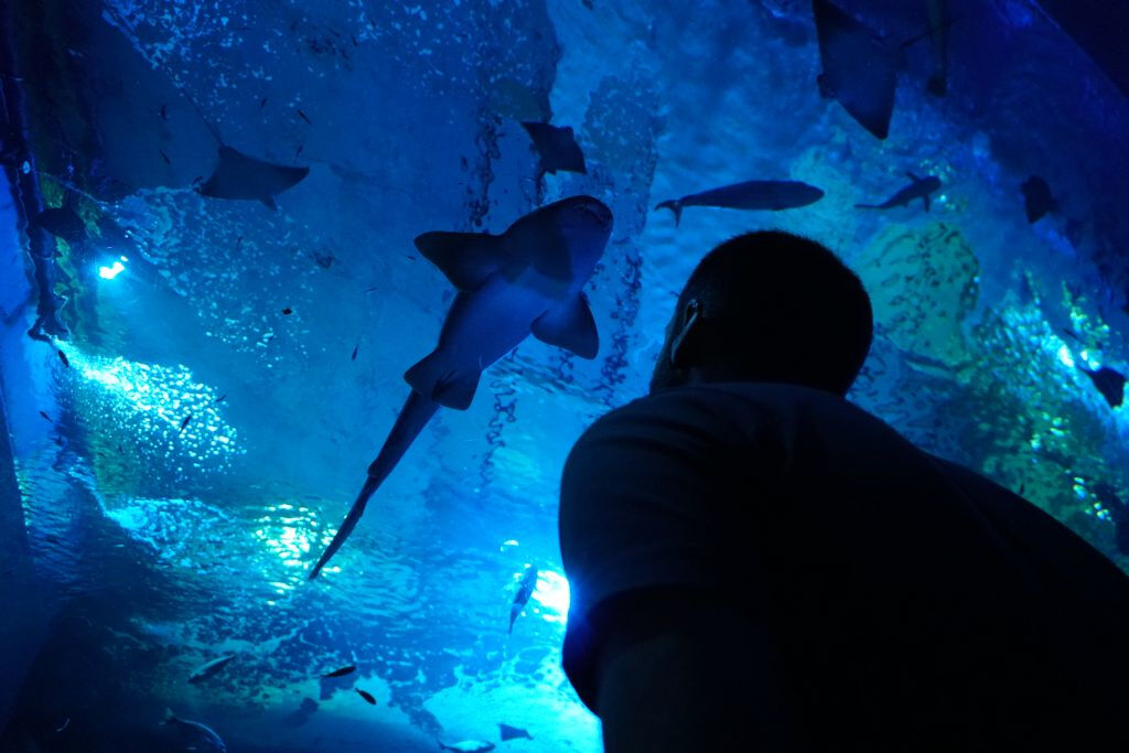 Acuario de Sevilla