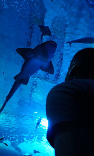 Acuario de Sevilla