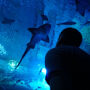 Acuario de Sevilla