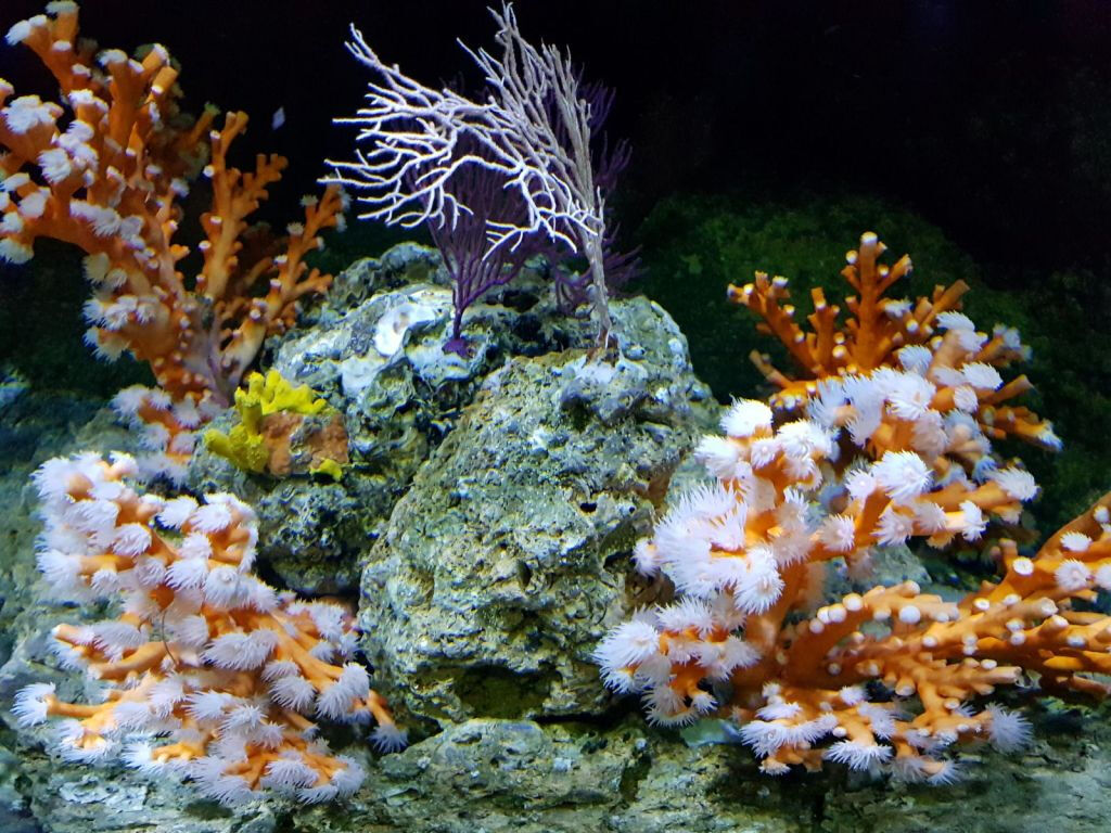 Acuario de Sevilla