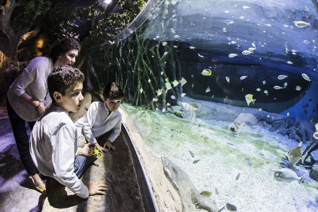 Acuario de Sevilla