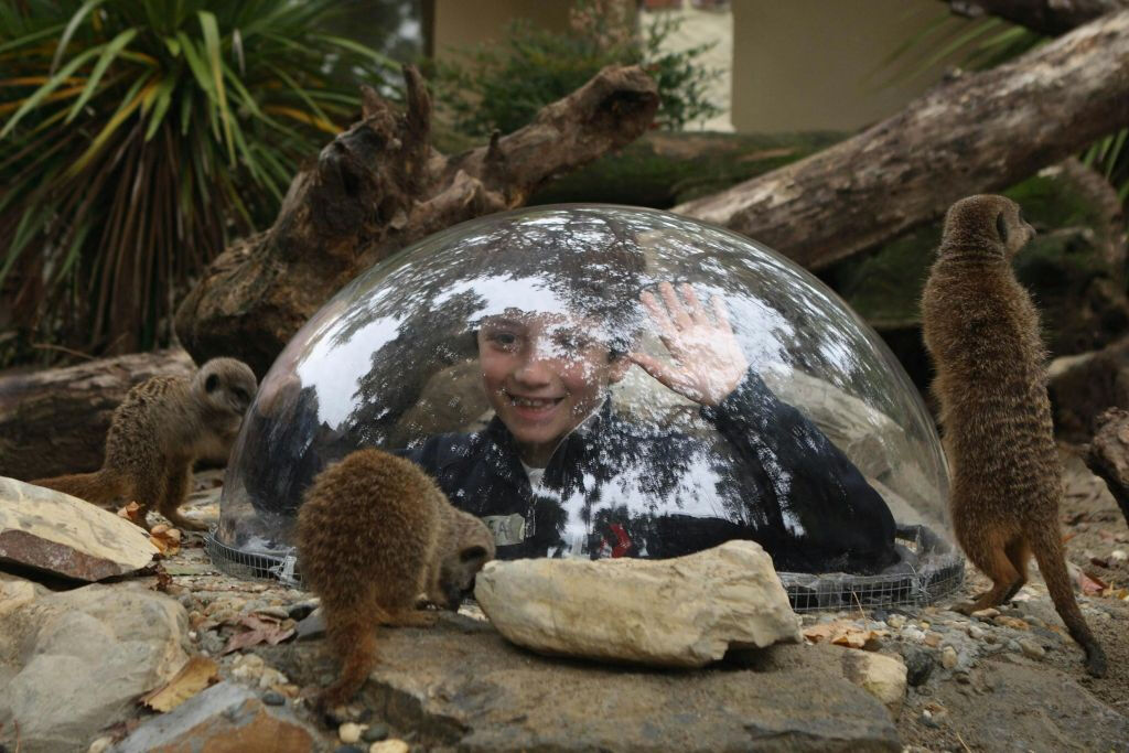 Jardin zoologique de Pistoia: Billet avec accès rapide