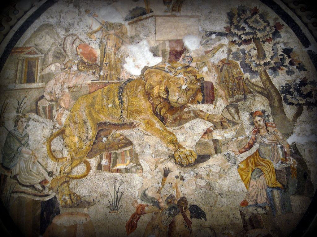 Museu Arqueológico Nacional de Nápoles: Entrada com cartões postais Pemcards