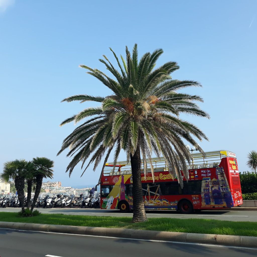 City Sightseeing Genoa: Hop-on Hop-off Bus Tour