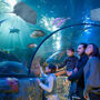 Gardaland SEA LIFE Aquarium