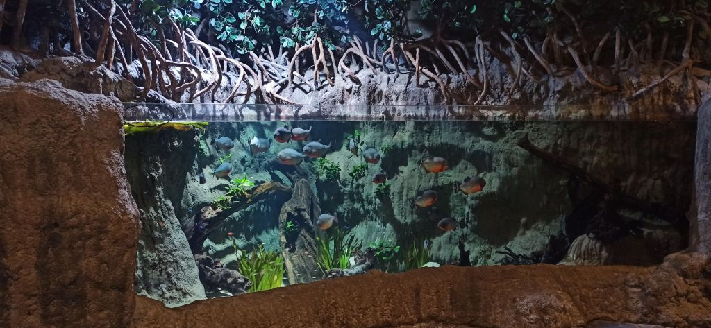Acuario de Gijón