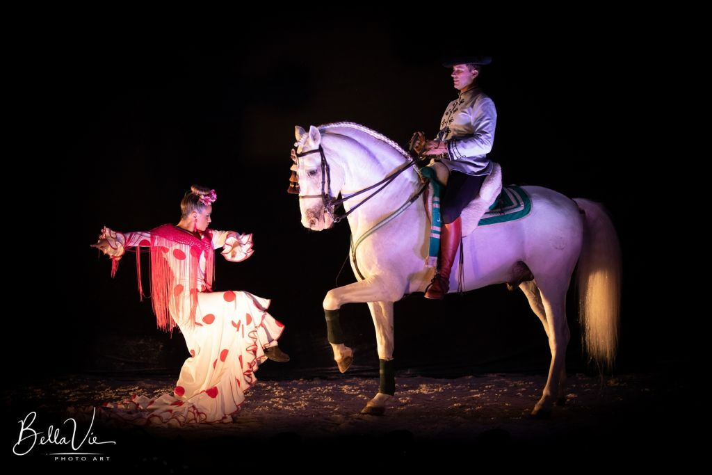 El Ranchito: Equestrian Show
